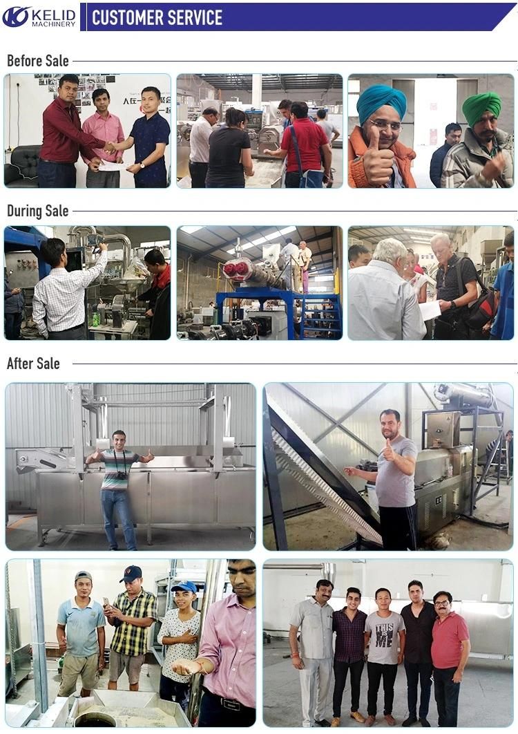 Tunnel - Belt Millet Grains Beans Curing Drying and Sterilization Machine