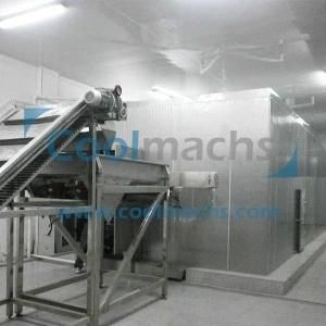 Fluidized IQF Freezer for Food