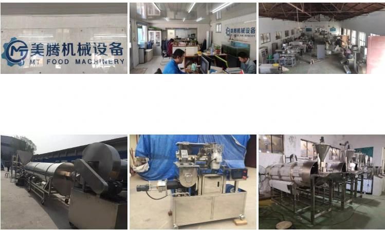 Hot Sale Seasoning Machinery Seasoning Food Production Line