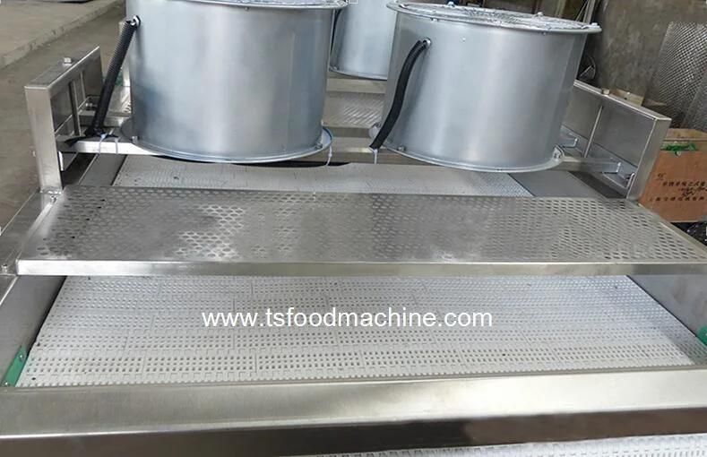 Belt Conveyor Air Dryer Fruit Food Drying Machine