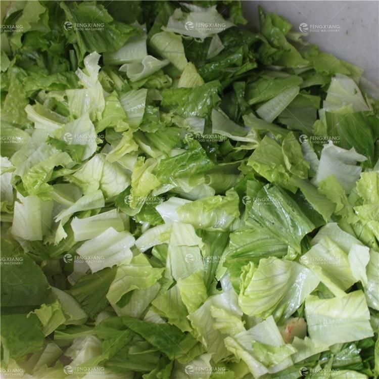 Multifunction Vegetable Chopper Cutter Cabbage Spinach Lettuce Cutting Machine