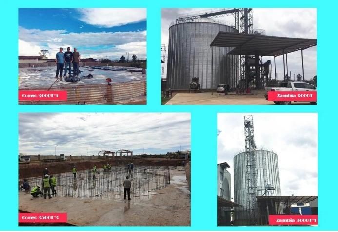 Grain Silo Wheat Maize Silo Bin Galvanized Steel Silos 500tsilo to 3000t Silo