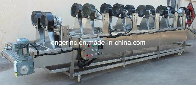 Industrial Hot Air Tomato Drying Machine Mushroom Dryer