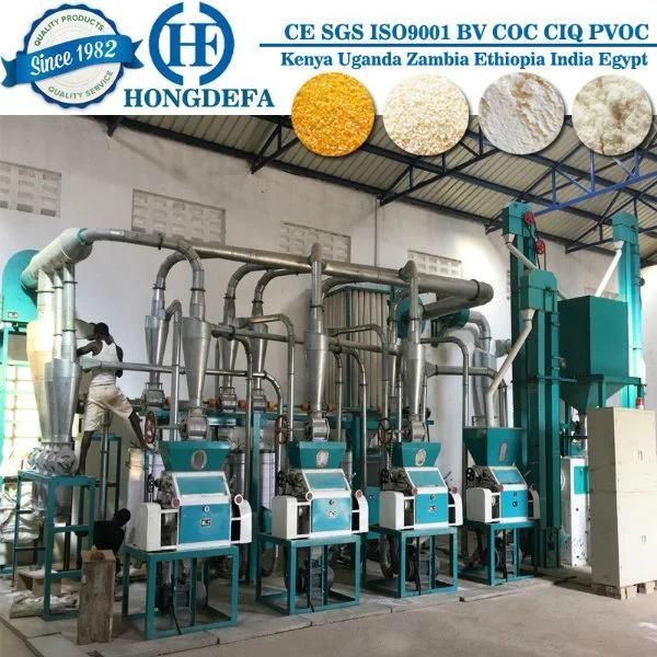 Complete Production Machine 30t/24h Maize Grinding Mill Grinder