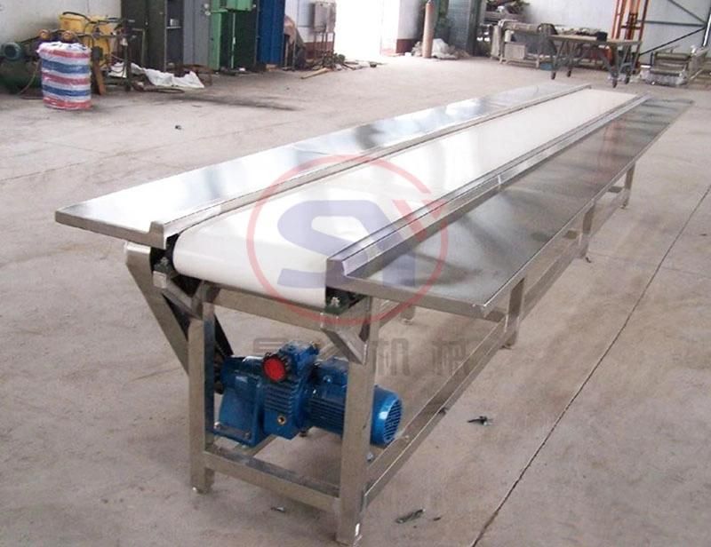 2020 Stainless Steel Flat Belt Conveyor for Bag/Pallet/Tray Loading