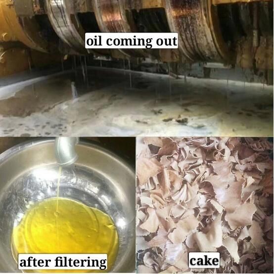 Advanced Combined Sunflower Oil Press with Oil Filter and Electric Heater