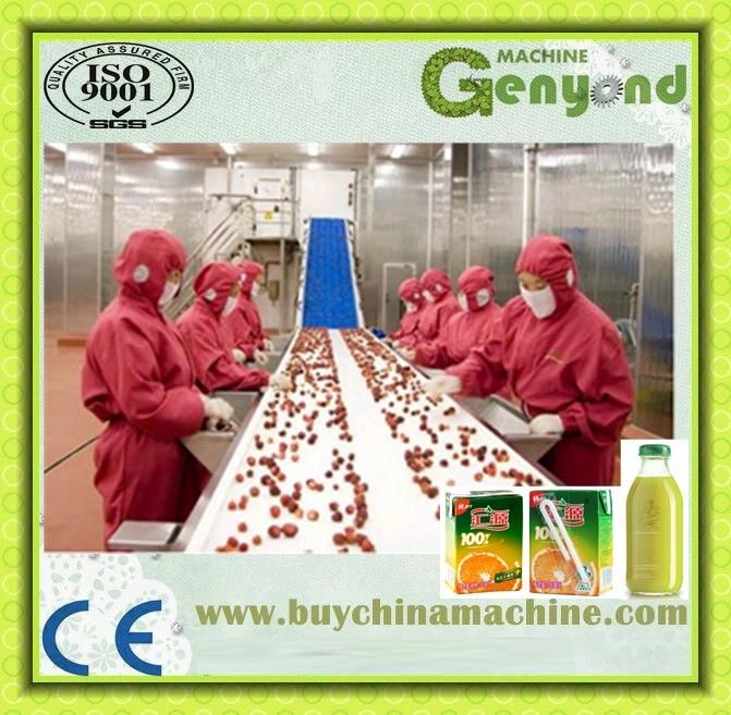 Turnkey Project Orange Apple Juice Processing Plant