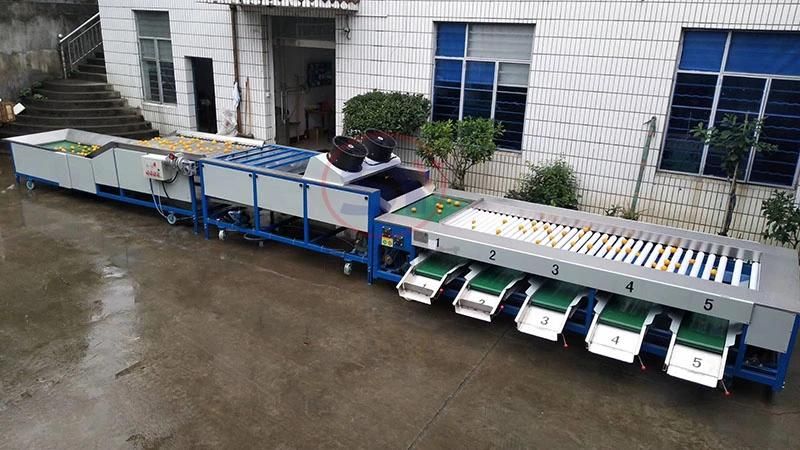 Tomato Potato Carrot Color Pepper Automatic Loading Selecting Sorting Machine