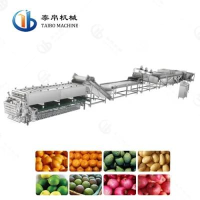 Energy-Saving Onion/Orange/Lemon Washing Waxing Drying Size-Grading Line