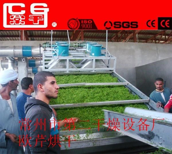 Industrial Spirulina Conveyor Belt Dryer Equipment