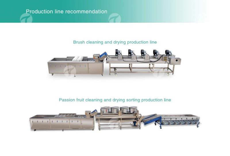 Citrus Apple Orange Passion Fruit Cleaning Air Drying Sorting Production Line Food Processing Equipment Machine