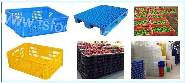 Industrial Basket Crate Washer and Pallet Tray Washing Machine