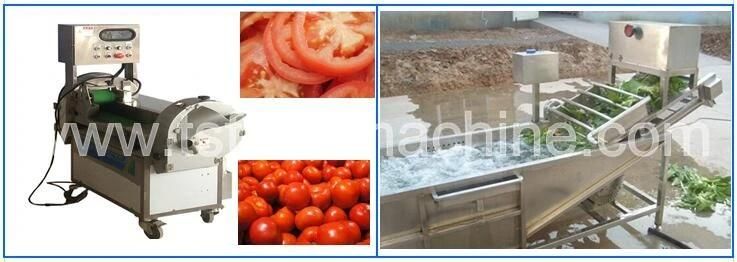 Fruit Vegetable Wash Machine and Washing Machine with Ozone Generator