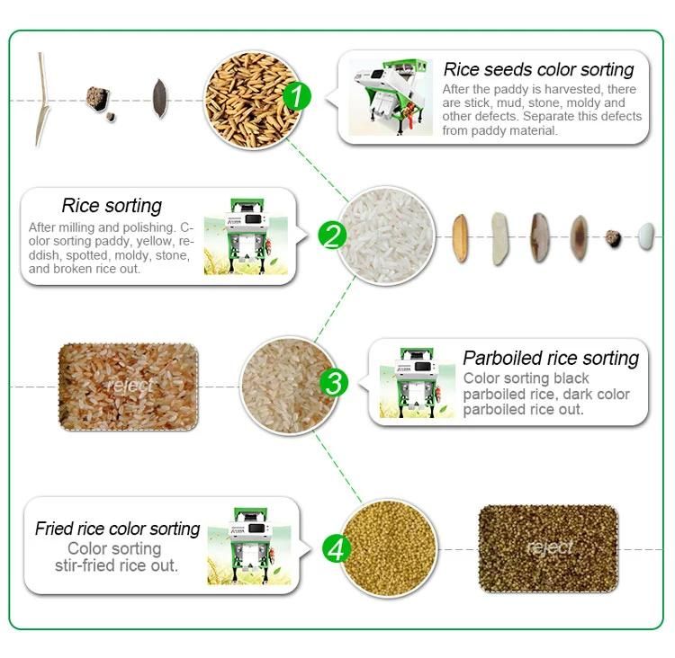 Rice Processing Milling Machine Paddy Separator Rice Color Sorter Machine for Rice Mill