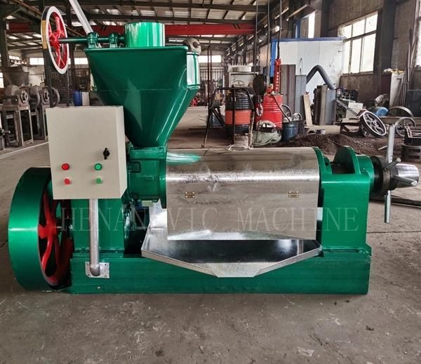 Electric driven screw cold oil expeller