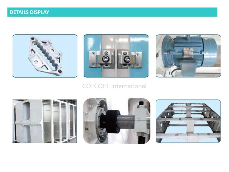 Global 500 Cofcoet Fsfg Plansifter for Flour Mill