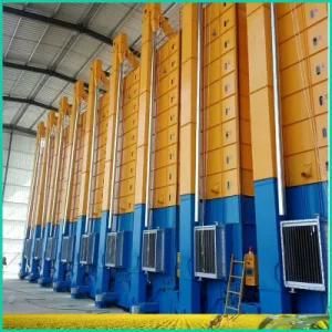 Rice Dryer with Factory Price From China