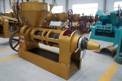 10tpd Peanut Oil Processing Machine