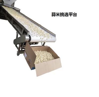 High Yield Chain Garlic Peeler