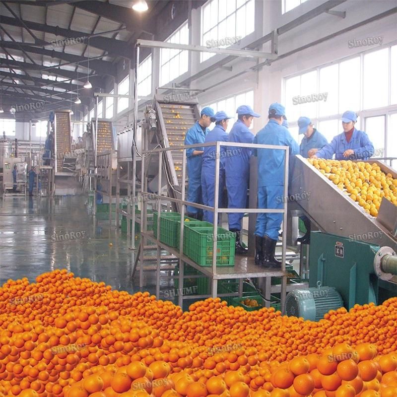 5 Tons Diversity Fruit Production Lines Machines for Apricot Paste, Citrus Grape NFC Juice, Avocado Puree Jam Sauce Ketchup