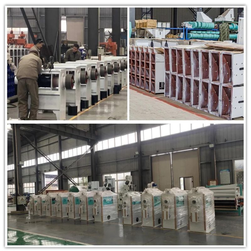 300t/D Modern Rice Processing Line