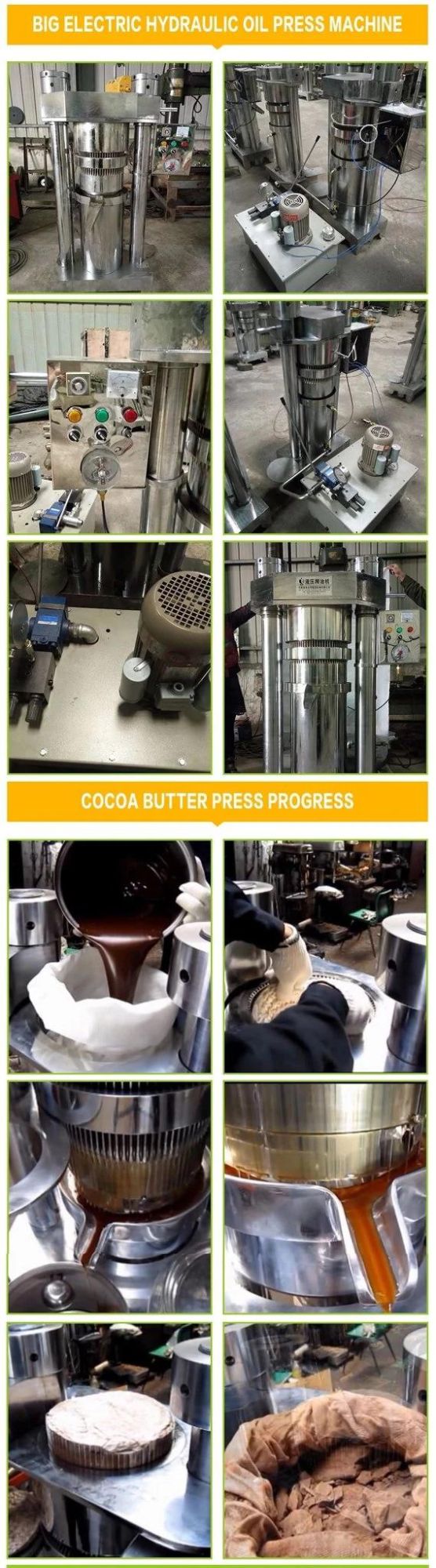 High Oil Yield Cottonseed Oil Extraction Machine for Sale