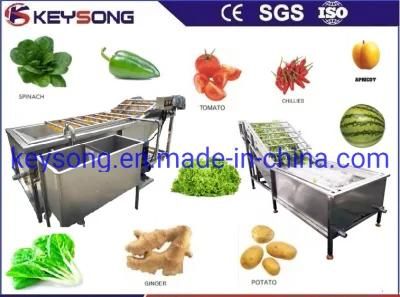 High Quality Food Processing Line Equipment Fruits Vegetables Washer