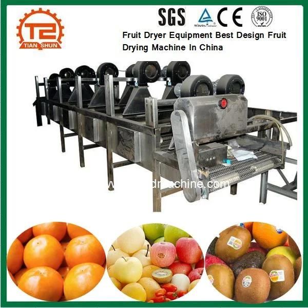 Fruit Dryer Equipment Best Design Fruit Drying Machine in China