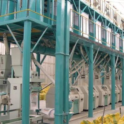 Installed in Nigeira 100t/24h Maize Milling Plant for Sale