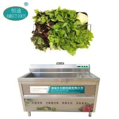 Vegetables Cleaning Machine Industrial Leafy Vegetable Bubble Batch Washer