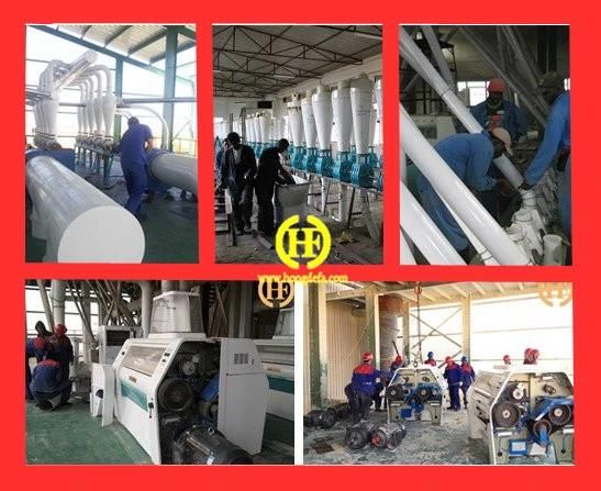 Complete Set 5-500t Flour Milling Plant