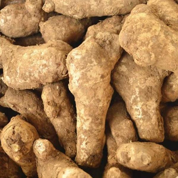 Ginger Cleaning Processing Plant Ginger Washing Machine