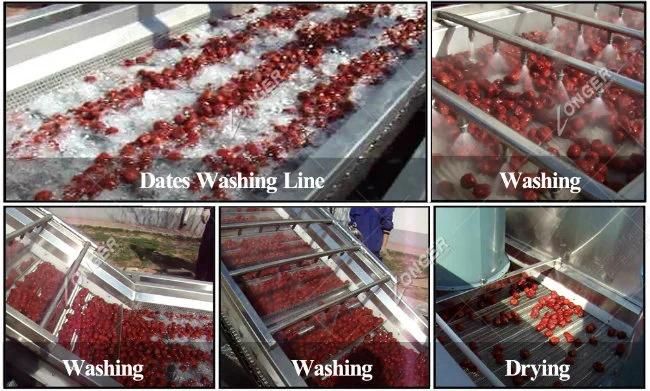 High Efficient Date Plam Washing Line Dates Cleaning Machine