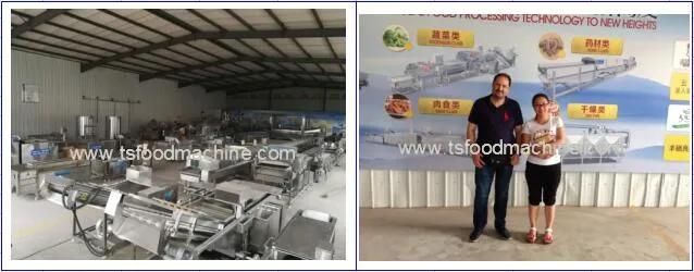 Automatic Manufacturer Potato Sticks Making Machine and Potato Frying Machine