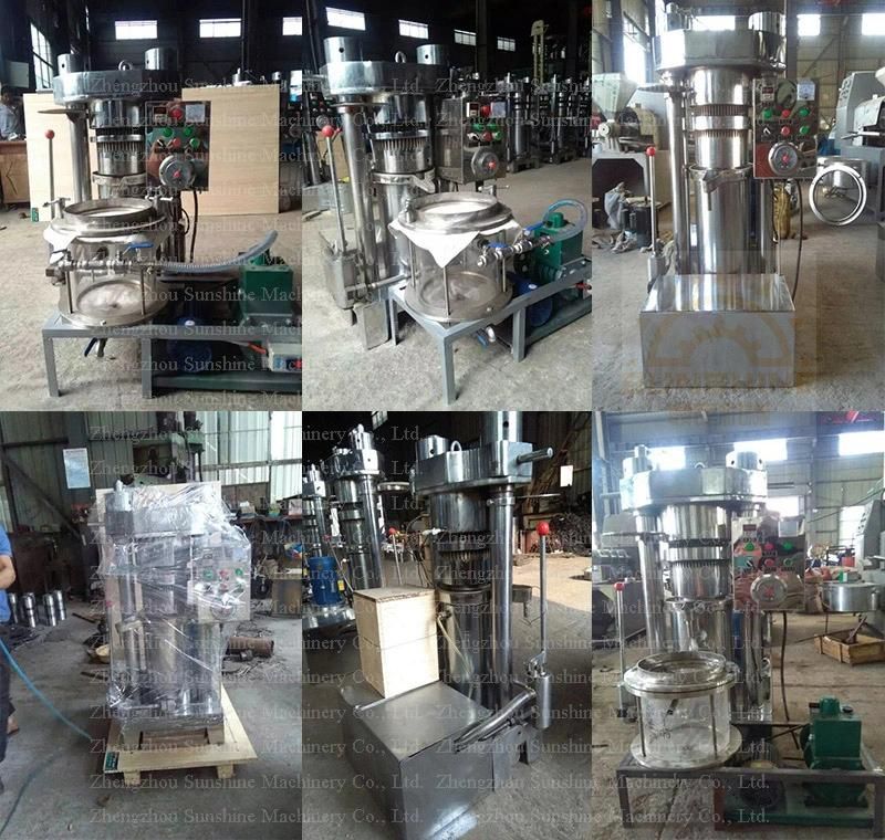 Walnut Pumpkin Cocoa Bean Camellia Almond Oil Extraction Machine