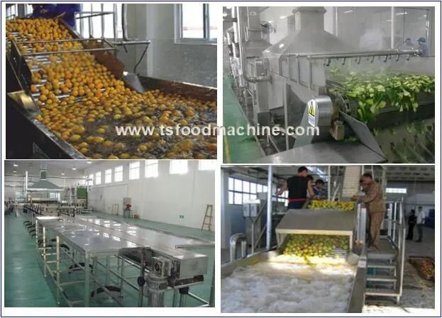 High Efficiency Professional Vegetable and Fruit Bubble Washer Food Processing Equipment