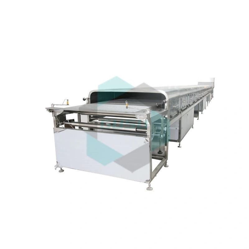 ISO9001 Certified New Designed Chocolate Enrobing Machine (TYJ800)