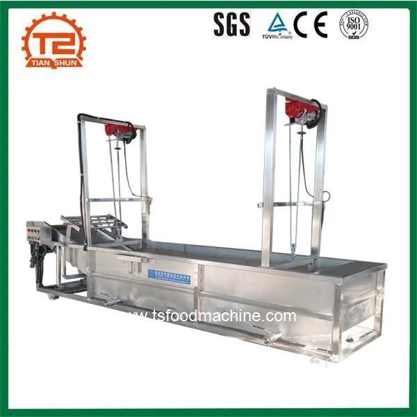 High Pressure Automatic Washing Equipment, Tsxq-50 Fruit and Vegetable Bubble Washer