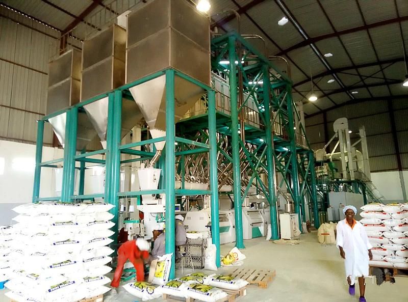 PLC Control 240t/24h Corn Grits Mill Maize Milling Machine Prices