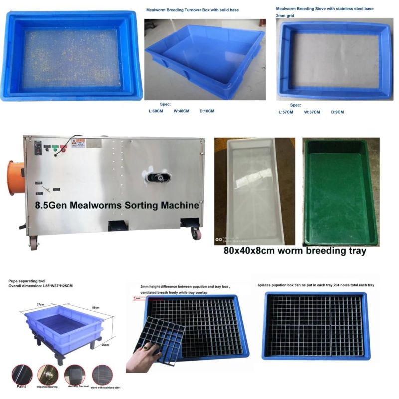The Latest Multifunctional Full Automatic Meal Worm Sorting Machine