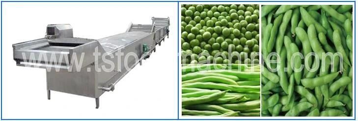 Automatic Continuous Cooking Machine and Blancher Machine for Banana and Plantain