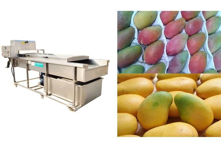 Brush Fruit Washing Machinery for Wash Fruits Mango Commercial Washing Machine