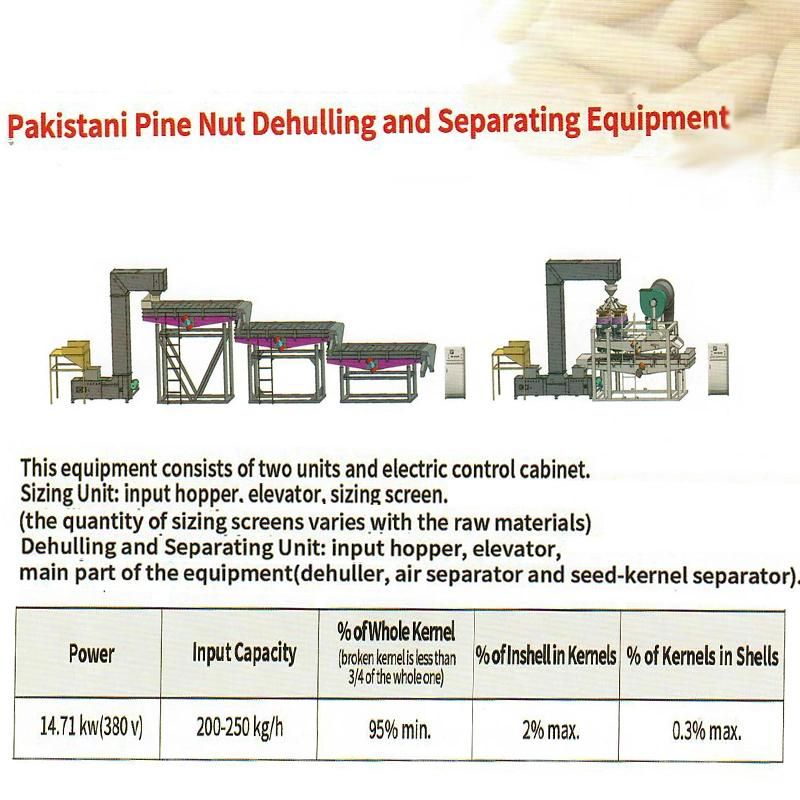 Pakistani Pine Nut Dehulling and Separating Equipment Machine