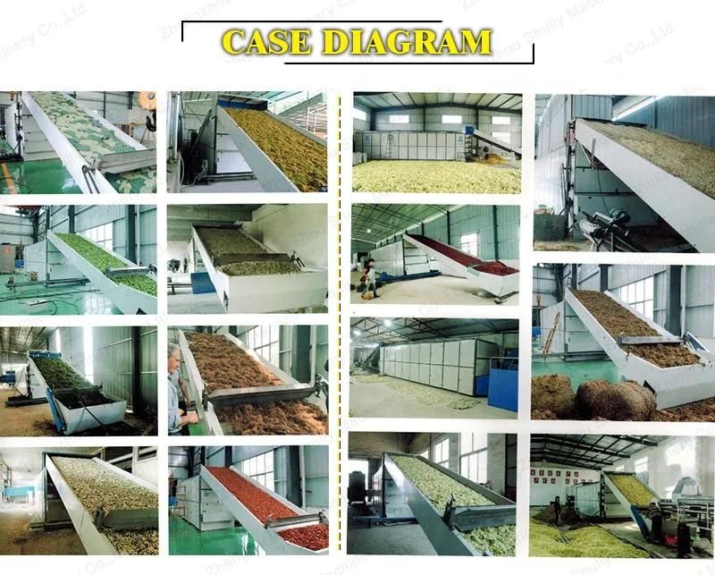 Industrial Hot Air Agricultural Ginger Grain Fish Pellet Drying Dryer Machine