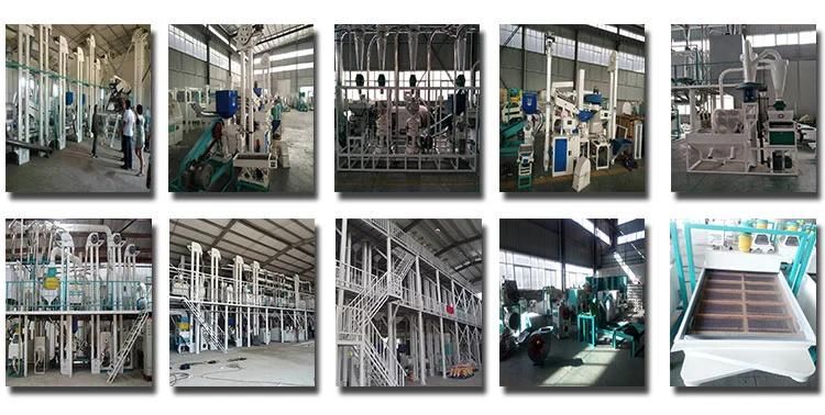 Grain Corn Rice Flour Mill in Iran and Pakistan