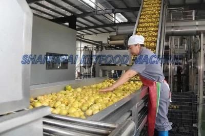 Automatic Fruit Juice Making Machine /Juice Production Line