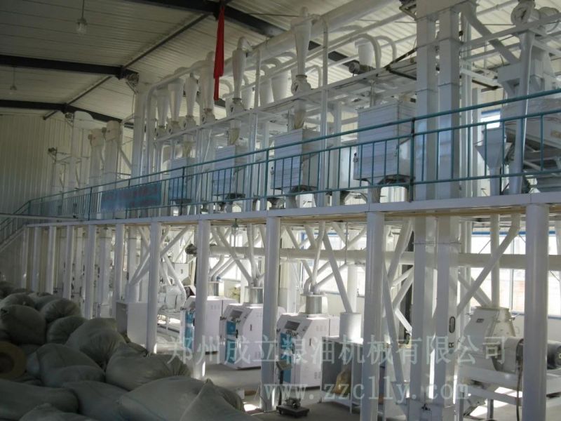 Maize Flour Milling 10-20 Ton/24 Hours