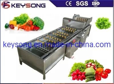 Stailess Steel Food Machinery Fruit Processing Line Washer