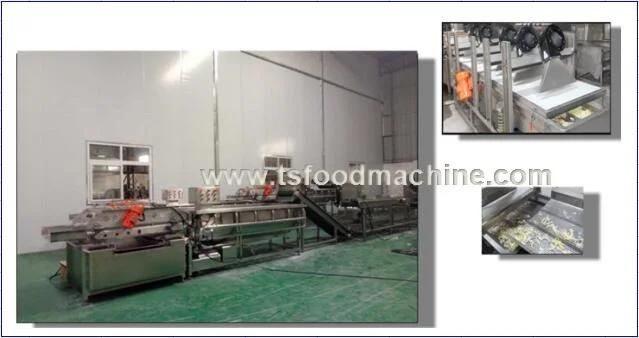 Industrial Ball Rootstock Vegetable Cutter Onion Cutting Machine