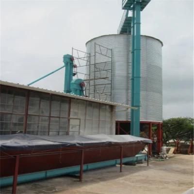 500t Maize Mill Machinery for Africa